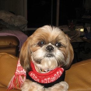 Meet your Posher, Wendy